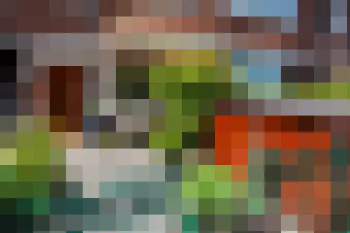 Lindelaan 126 Rijswijk thumbnail 33