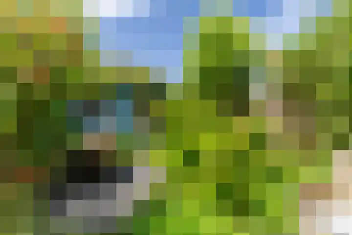 Lindelaan 126 Rijswijk thumbnail 4