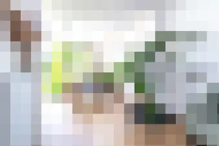 Lindelaan 126 Rijswijk thumbnail 6