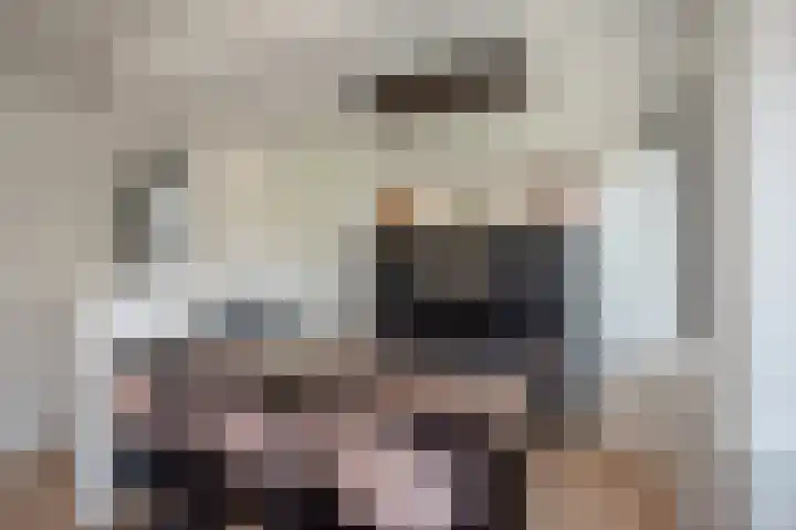 Lindelaan 129 Rijswijk thumbnail 17