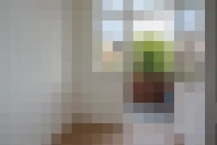 Lindelaan 129 Rijswijk thumbnail 19