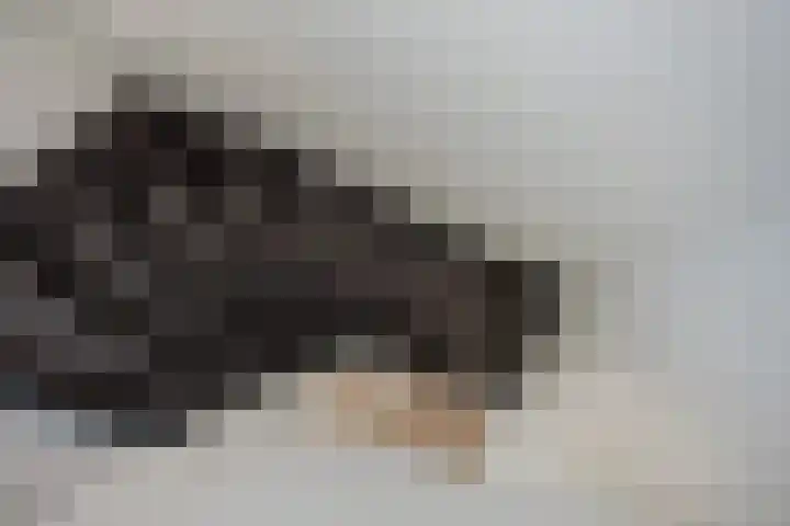 Lindelaan 129 Rijswijk thumbnail 24