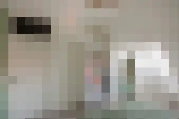 Lindelaan 129 Rijswijk thumbnail 29