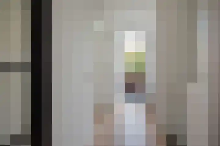 Lindelaan 129 Rijswijk thumbnail 8