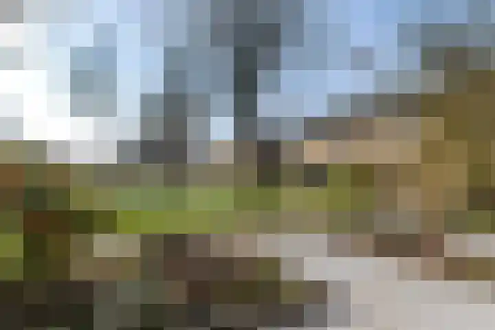 Lindelaan 13 Dordrecht thumbnail 5