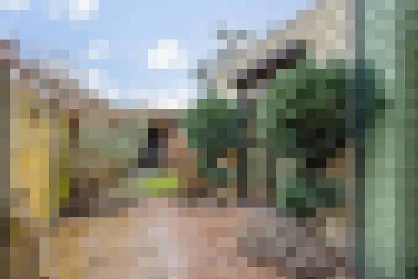 Lindelaan 132 Rijswijk thumbnail 18