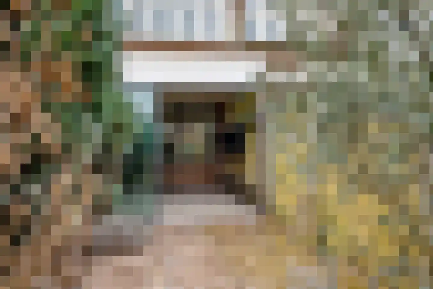 Lindelaan 132 Rijswijk thumbnail 20