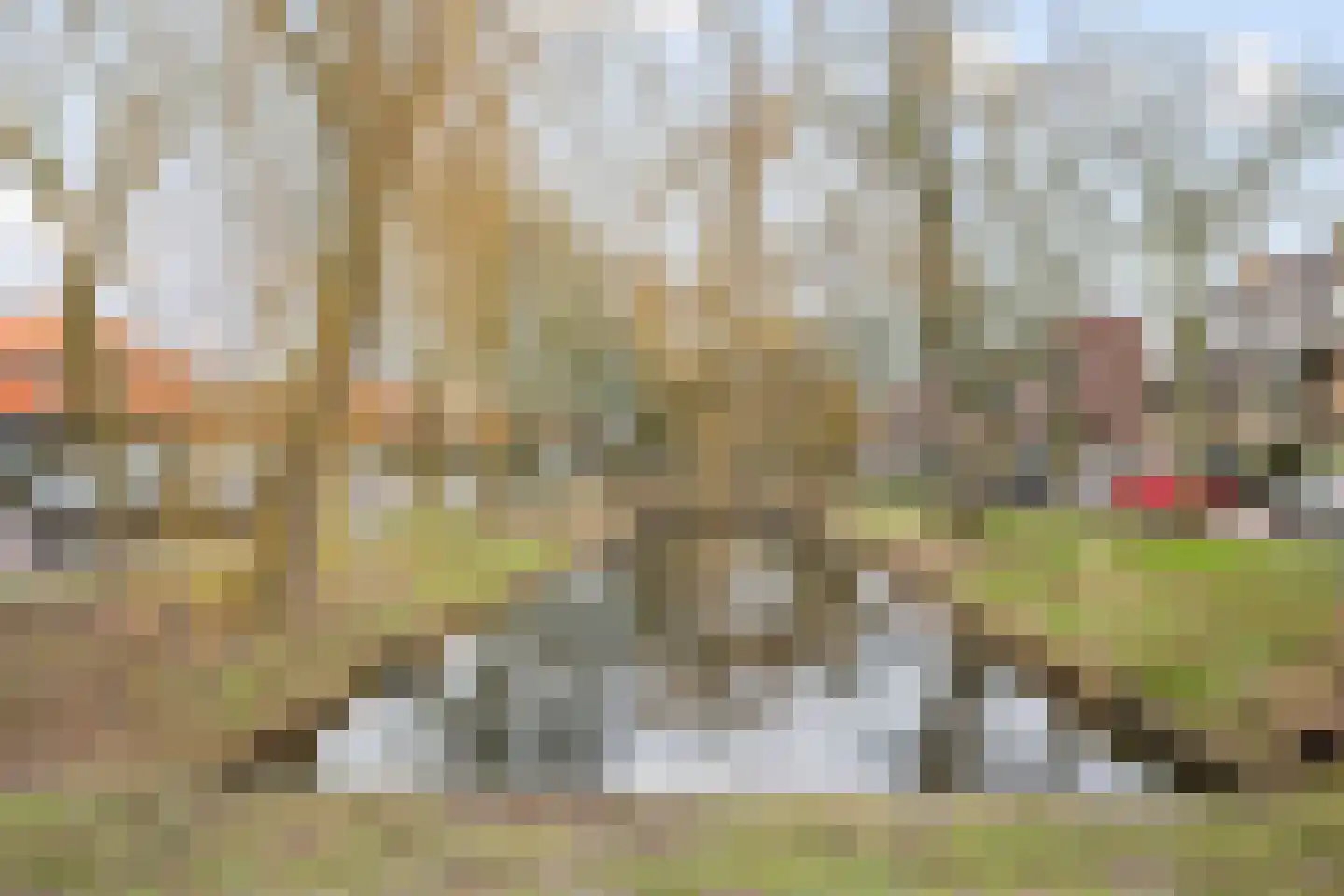Lindelaan 132 Rijswijk thumbnail 42