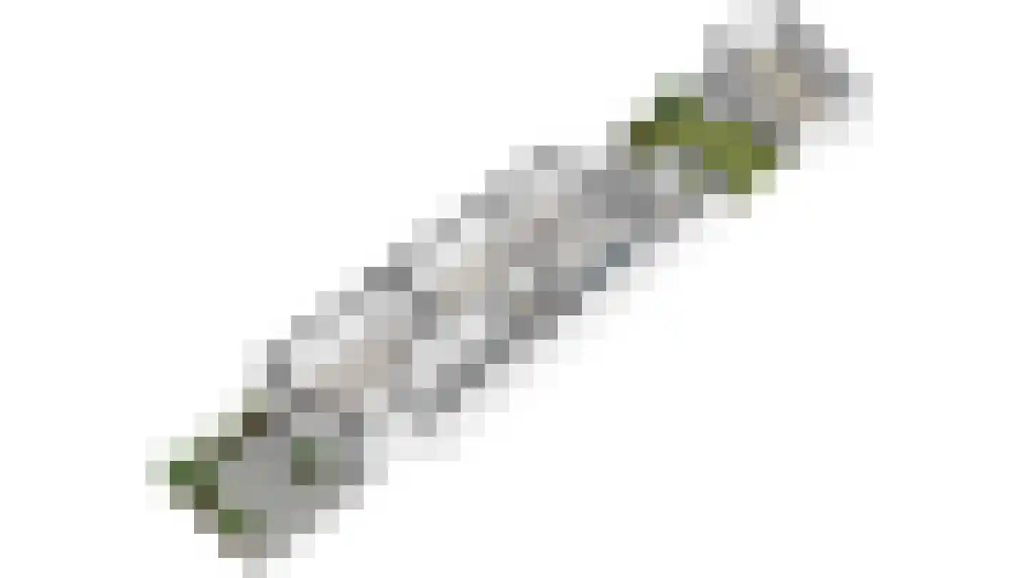 Lindelaan 132 Rijswijk thumbnail 50