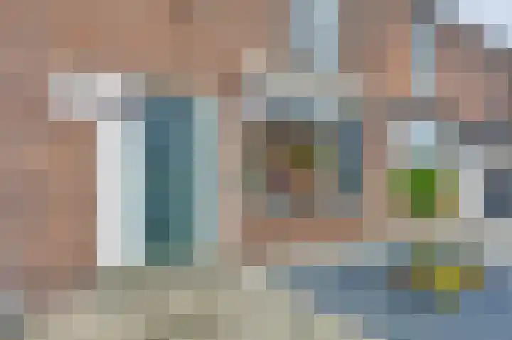 Lindelaan 137 Zwijndrecht thumbnail 29