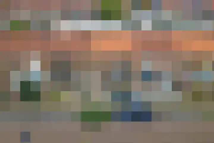 Lindelaan 137 Zwijndrecht thumbnail 32