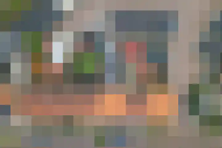 Lindelaan 137 Zwijndrecht thumbnail 33