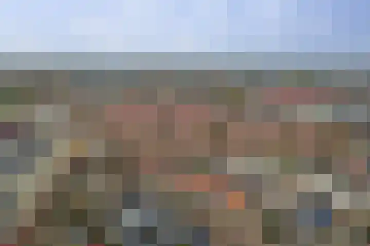 Lindelaan 137 Zwijndrecht thumbnail 34