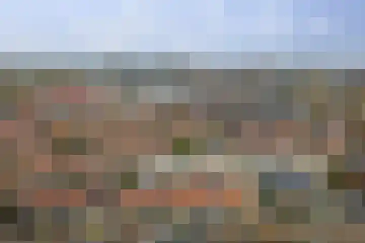 Lindelaan 137 Zwijndrecht thumbnail 35