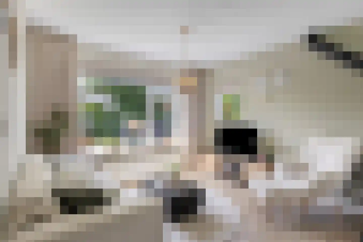 Lindelaan 14 Meteren thumbnail 11