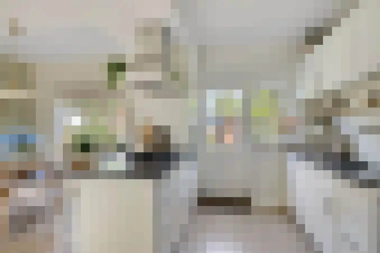 Lindelaan 14 Meteren thumbnail 16