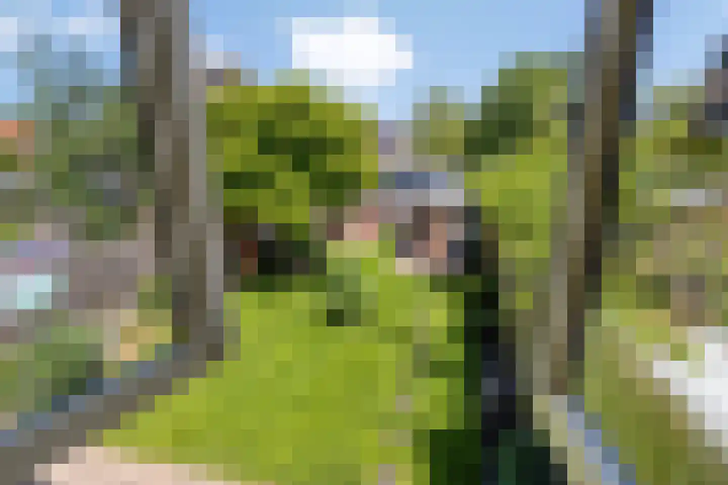 Lindelaan 14 Meteren thumbnail 31
