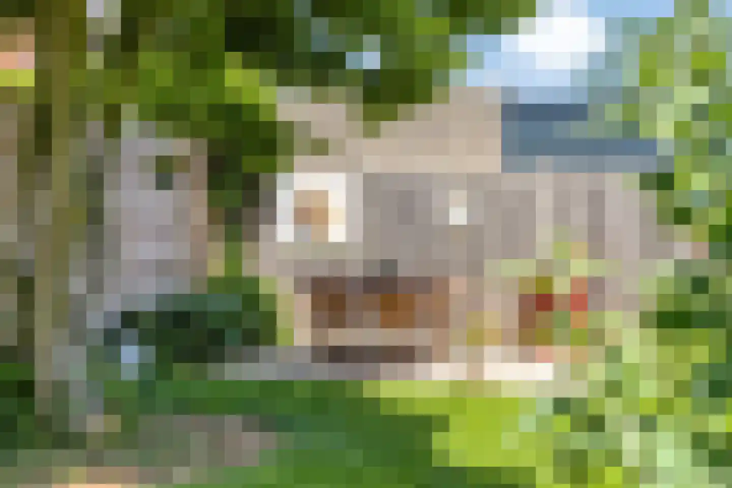Lindelaan 14 Meteren thumbnail 34