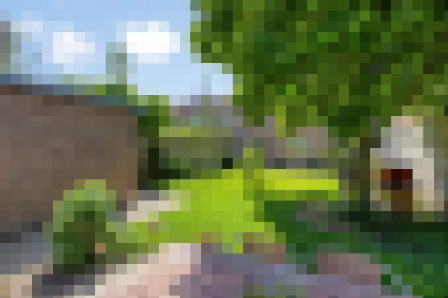 Lindelaan 14 Meteren thumbnail 35