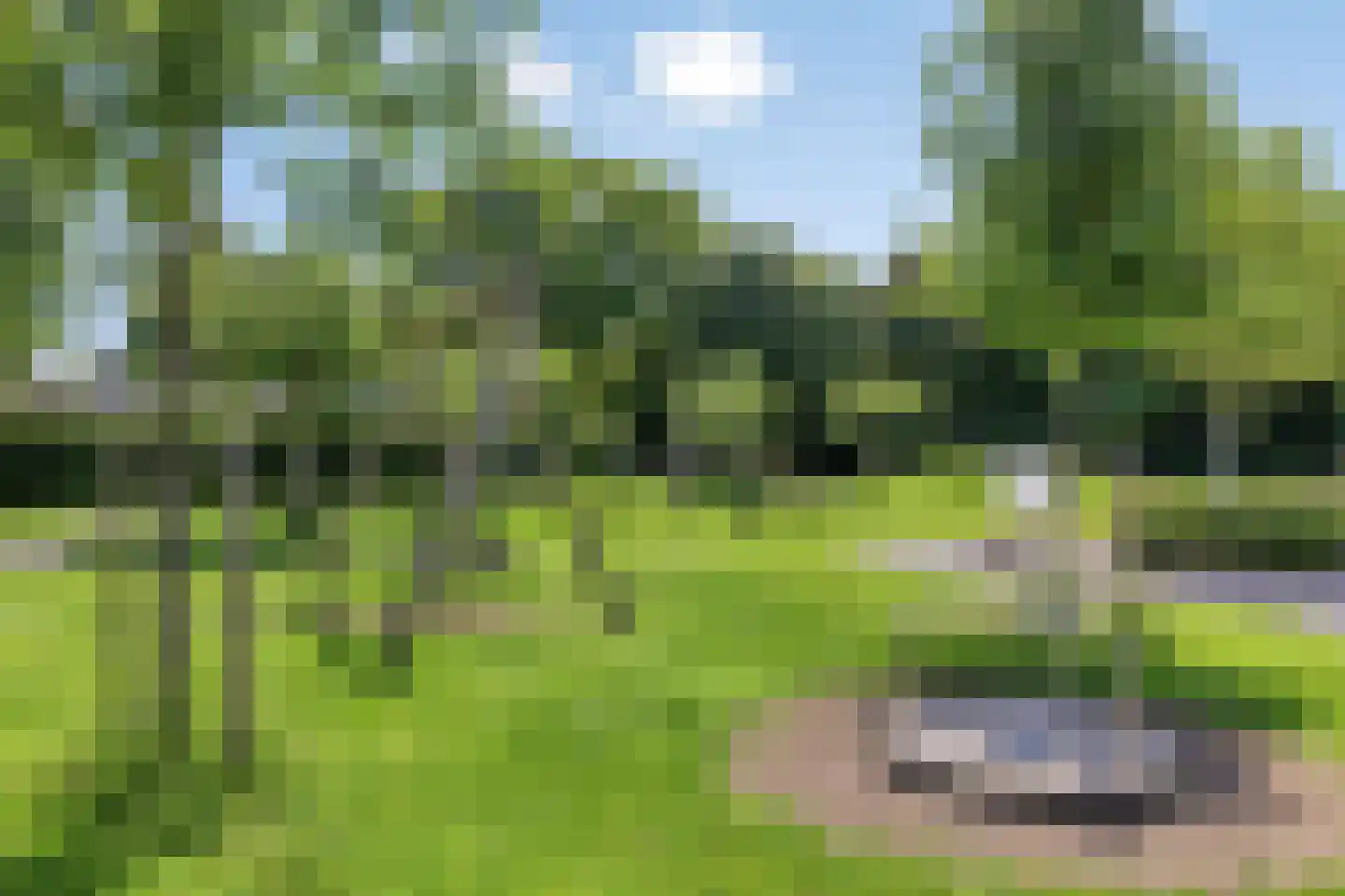Lindelaan 14 Meteren thumbnail 38