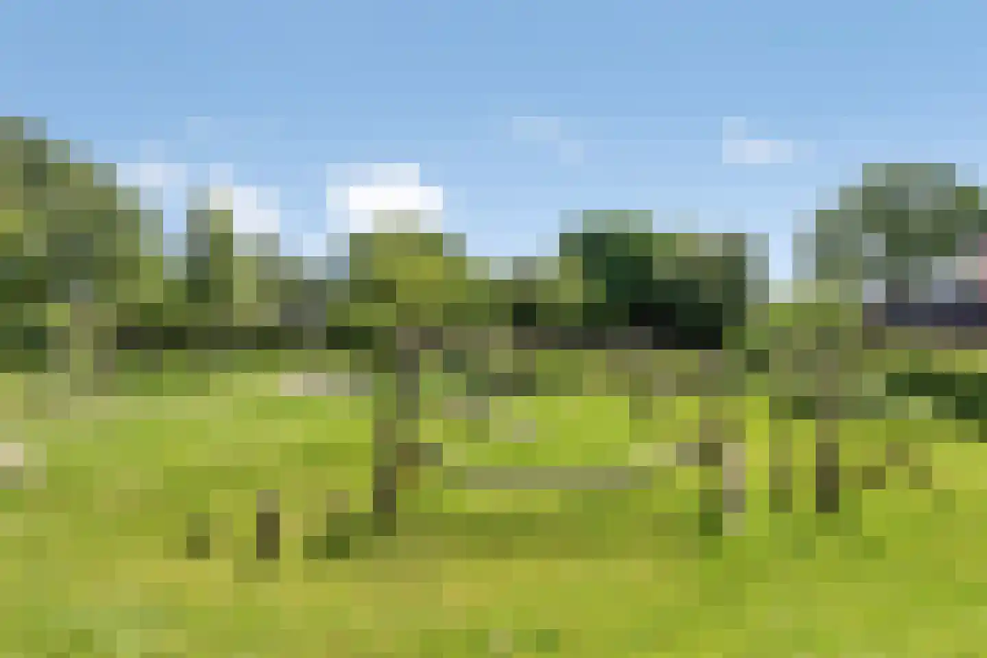 Lindelaan 14 Meteren thumbnail 39