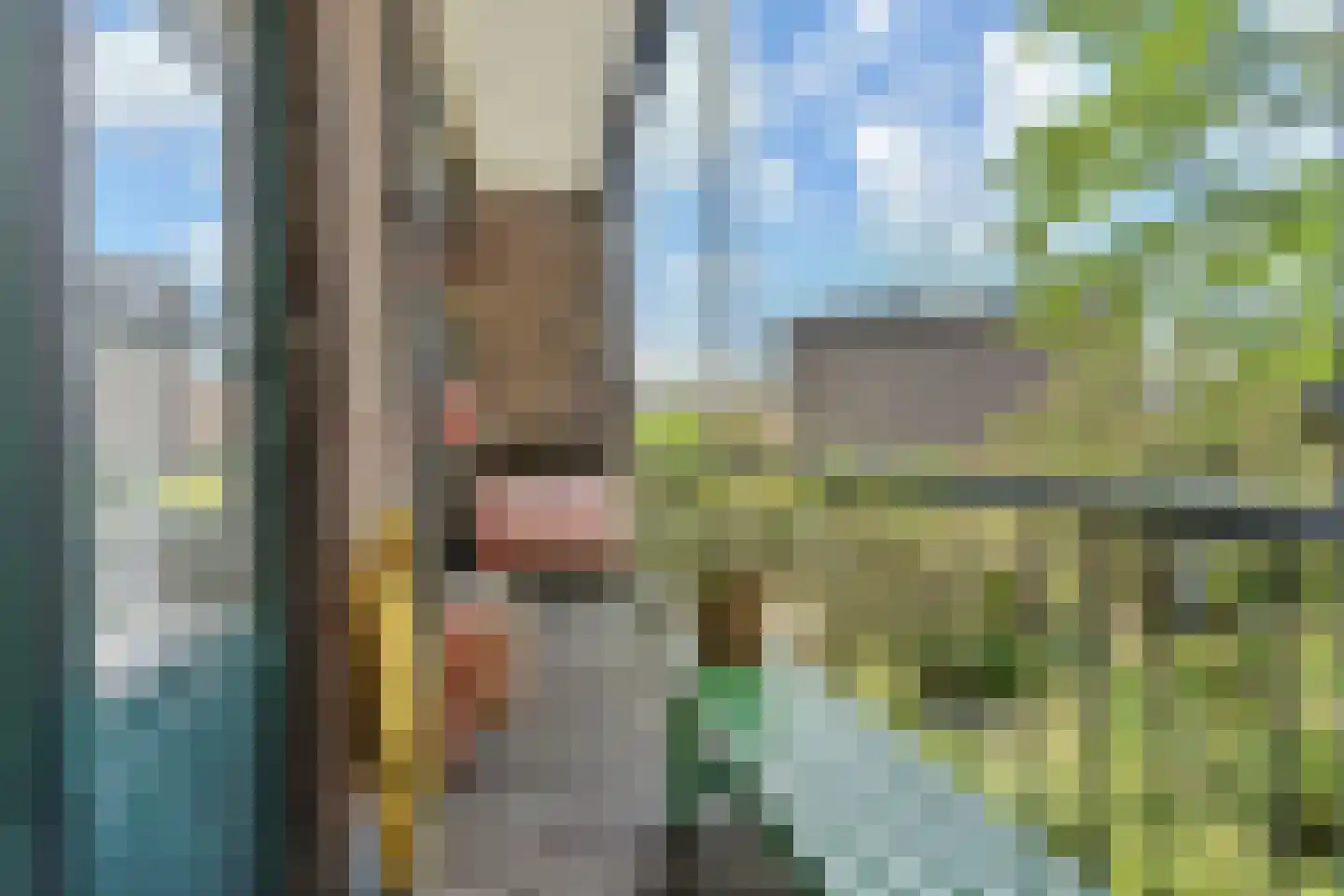 Lindelaan 14 Rijswijk thumbnail 10