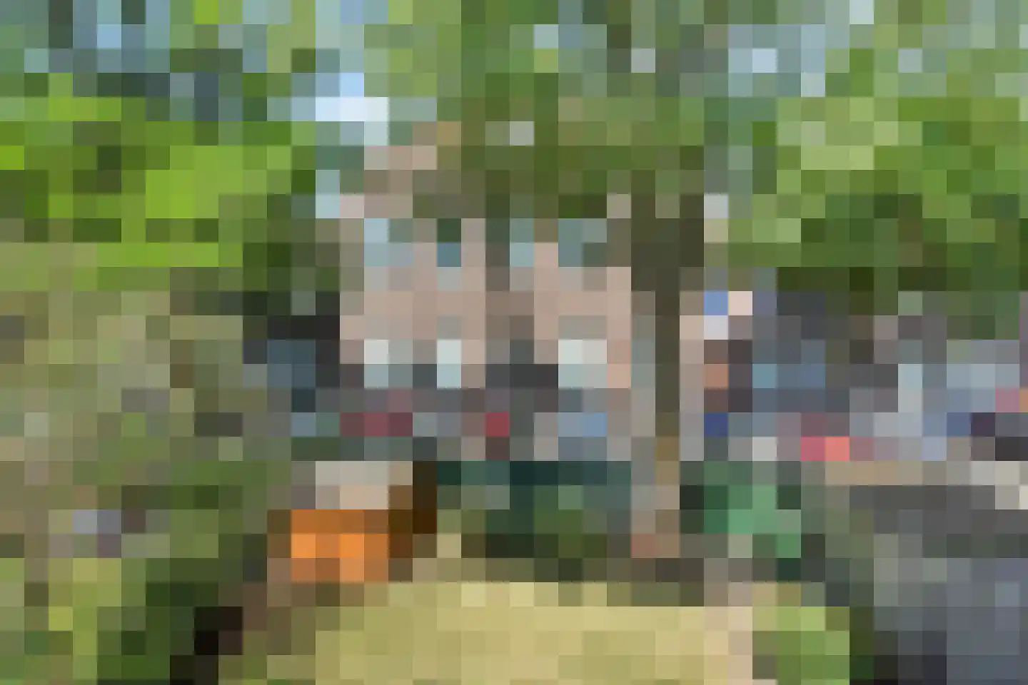 Lindelaan 14 Rijswijk thumbnail 13