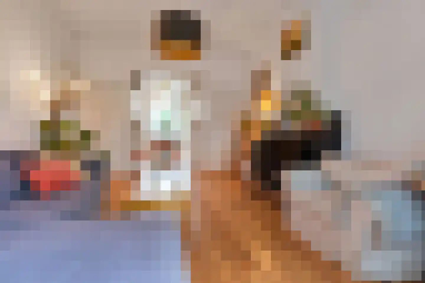 Lindelaan 14 Rijswijk thumbnail 15