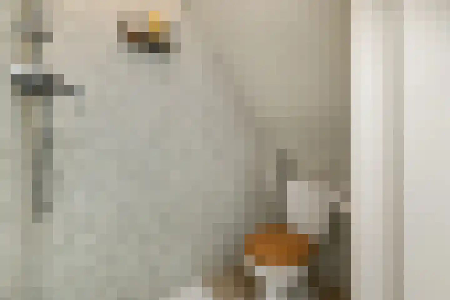 Lindelaan 14 Rijswijk thumbnail 24