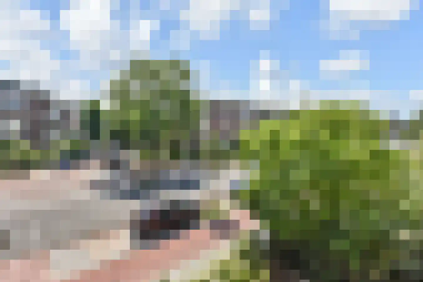 Lindelaan 14 Rijswijk thumbnail 36