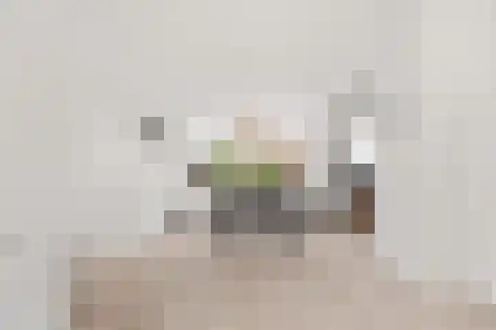 Lindelaan 147 Zwijndrecht thumbnail 8