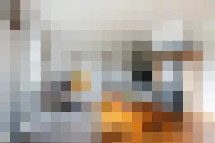 Lindelaan 15 Diepenheim thumbnail 16