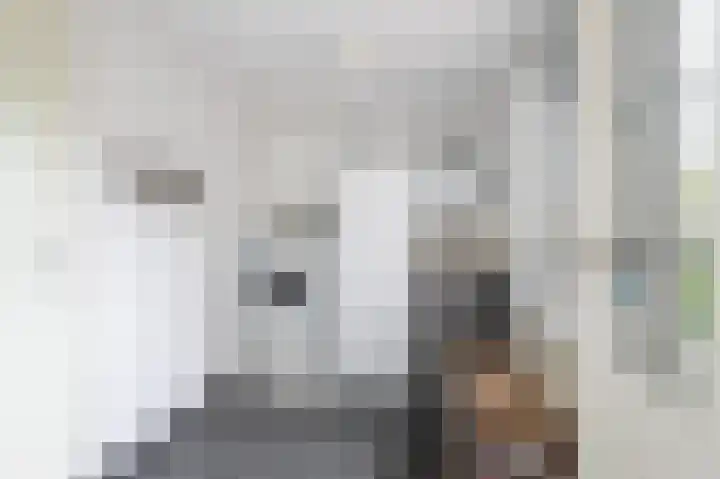 Lindelaan 15 Diepenheim thumbnail 18
