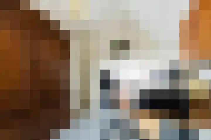 Lindelaan 15 Diepenheim thumbnail 19