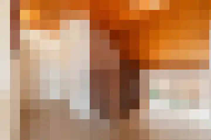 Lindelaan 15 Diepenheim thumbnail 21