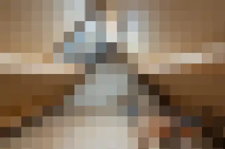 Lindelaan 15 Diepenheim thumbnail 30