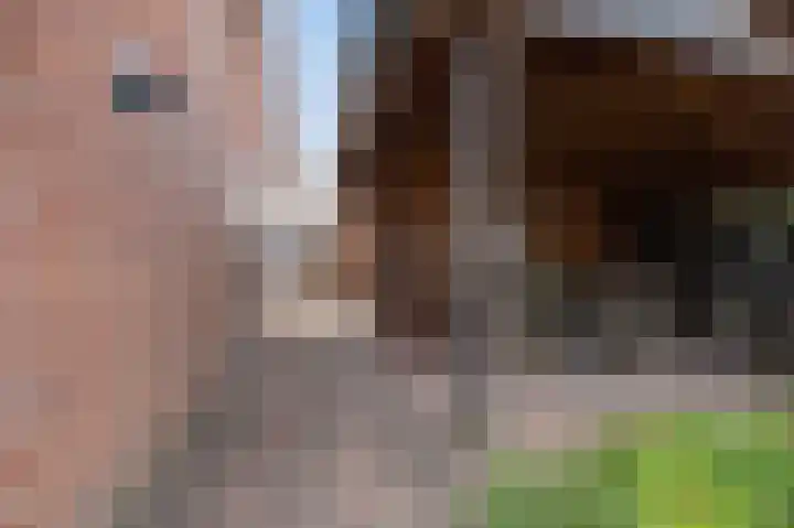 Lindelaan 15 Diepenheim thumbnail 32