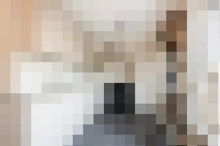 Lindelaan 15 Diepenheim thumbnail 7