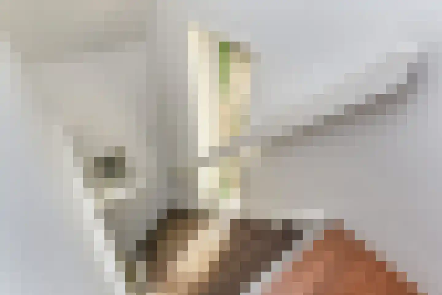 Lindelaan 16 Leidschendam thumbnail 20