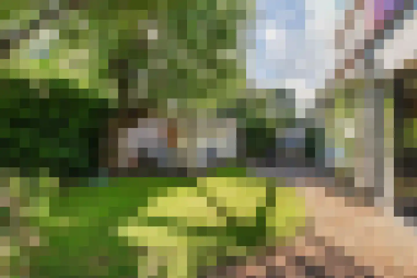 Lindelaan 16 Leidschendam thumbnail 36
