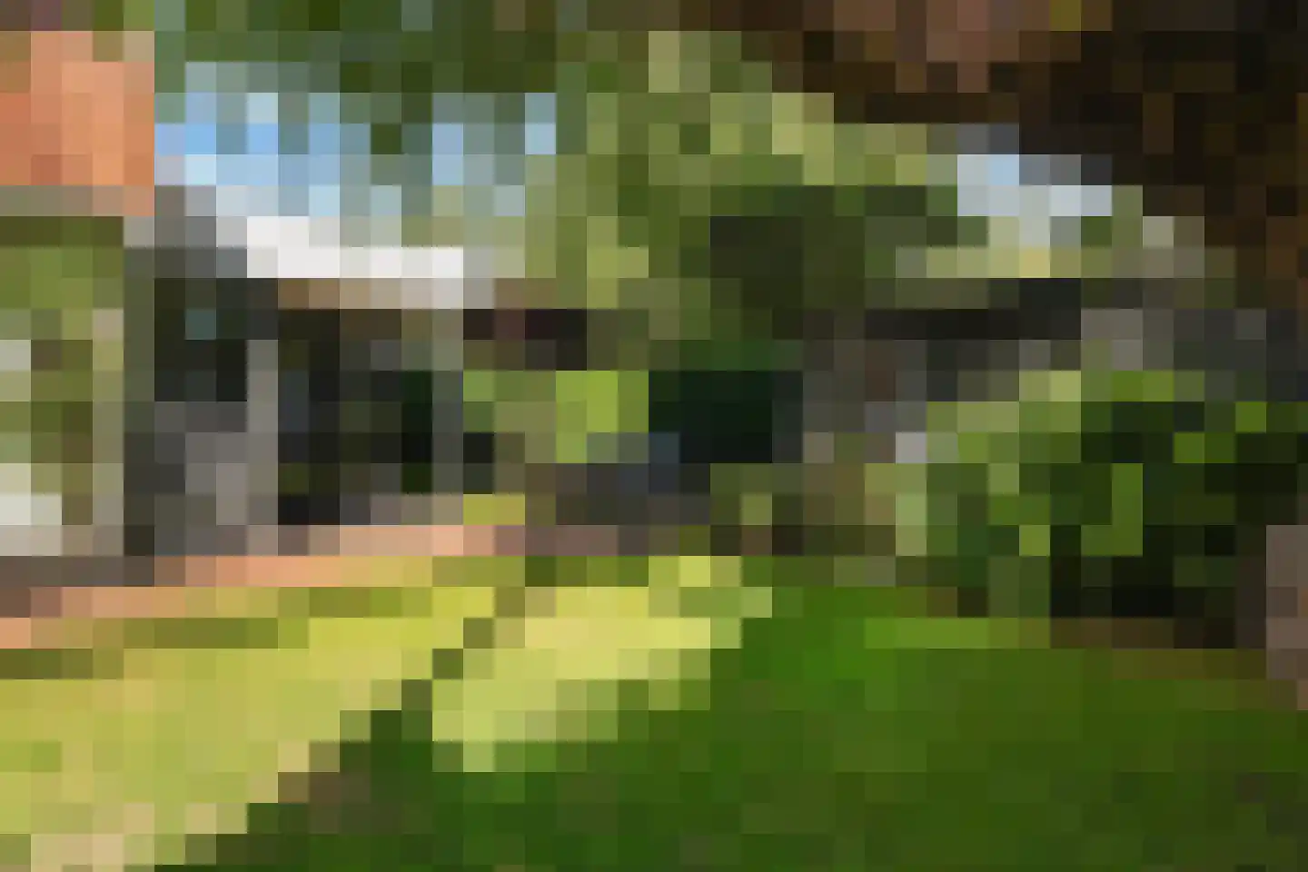 Lindelaan 16 Leidschendam thumbnail 39