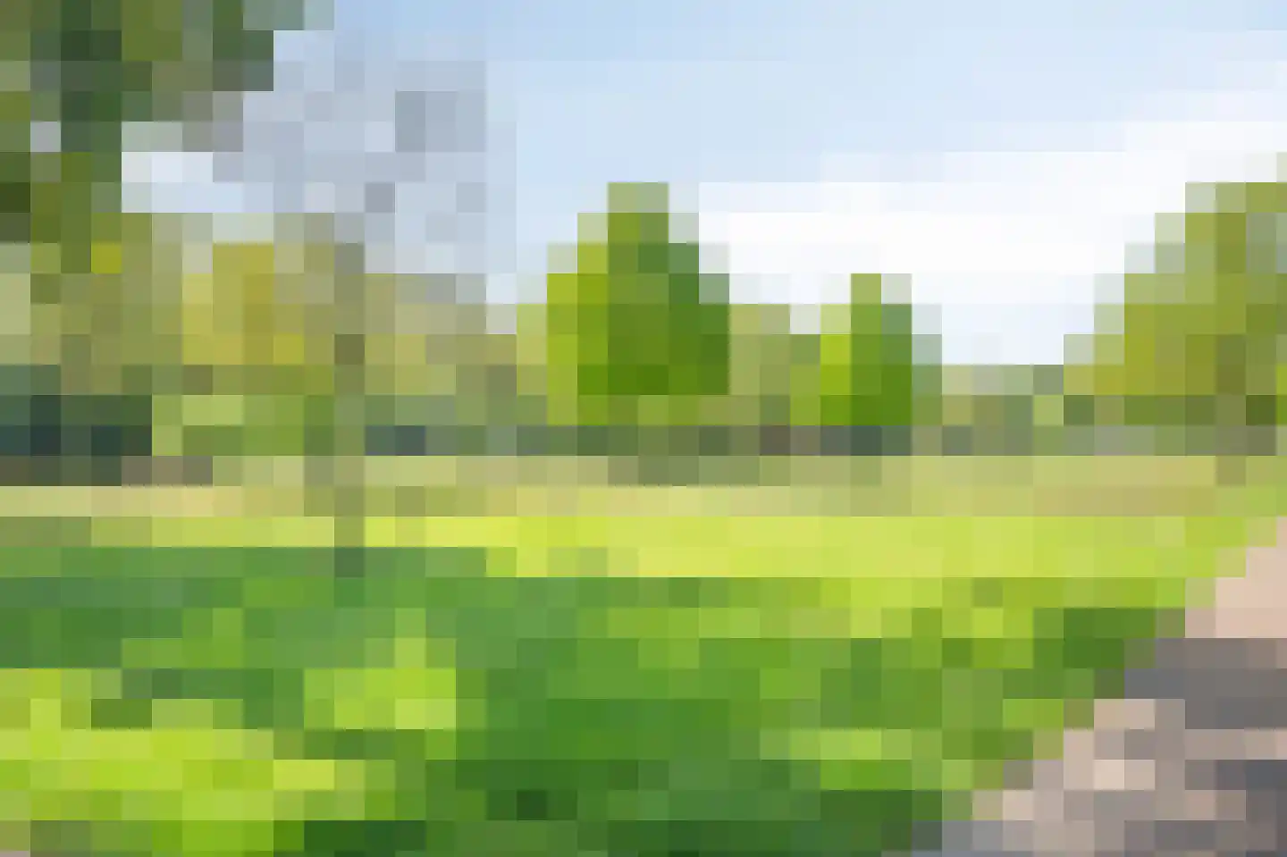 Lindelaan 162 Roermond thumbnail 22