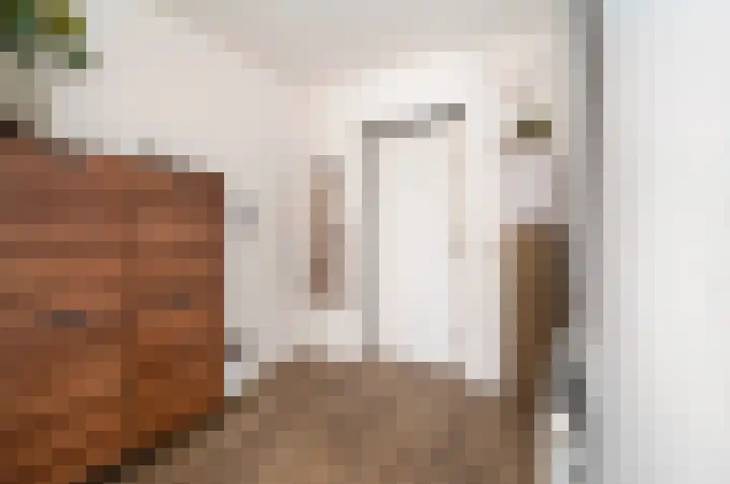 Lindelaan 162 Roermond thumbnail 4