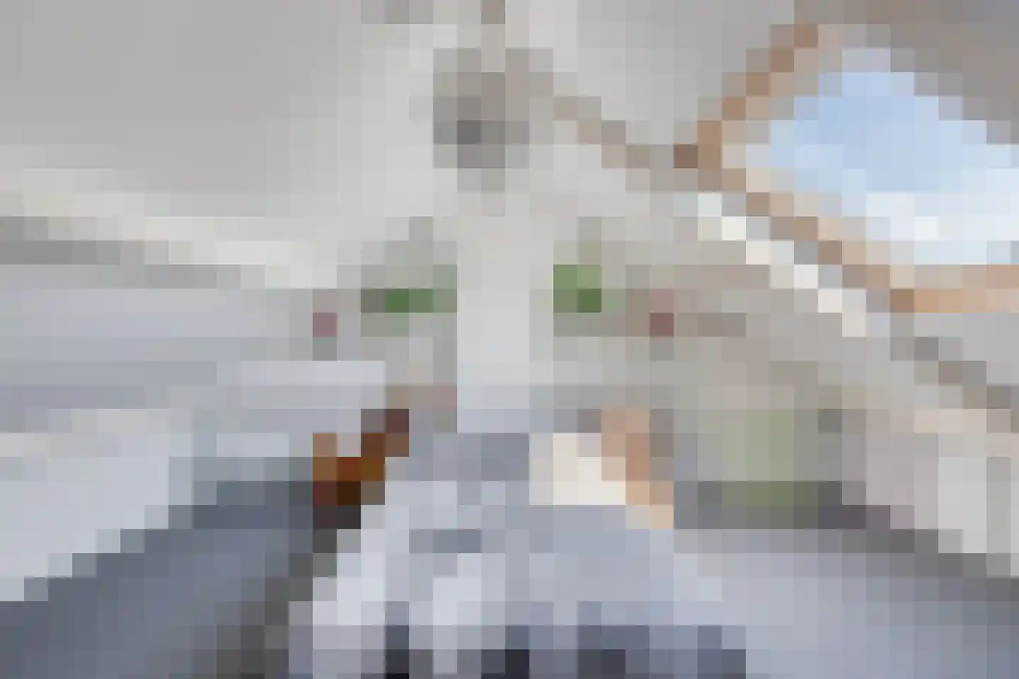 Lindelaan 17 Grootebroek thumbnail 22