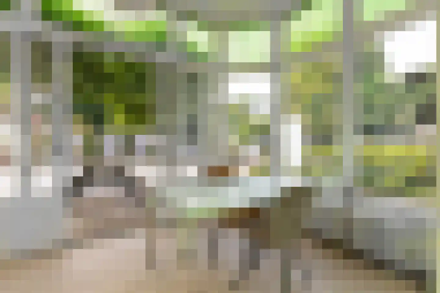 Lindelaan 18 Bussum thumbnail 11