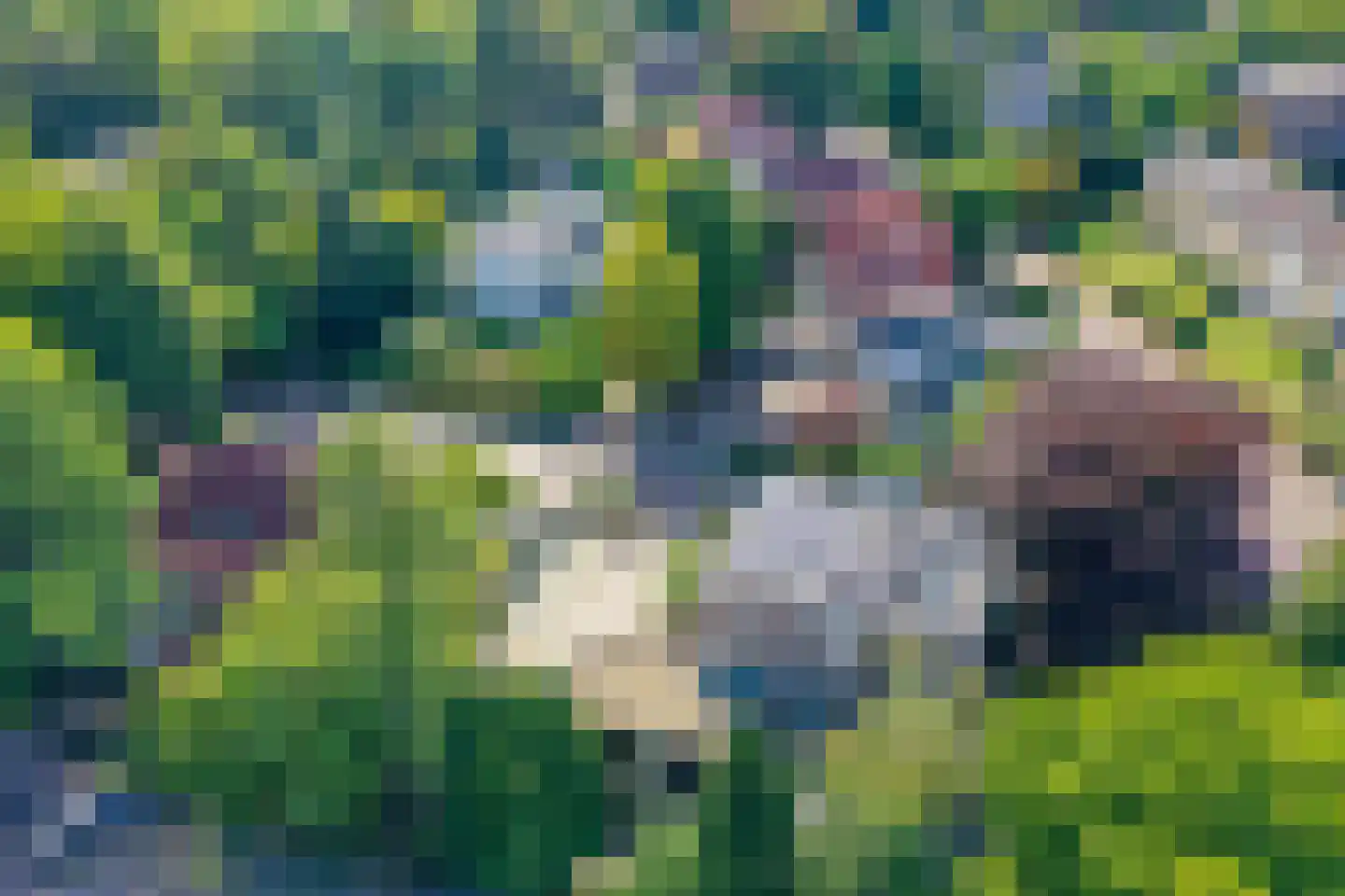 Lindelaan 18 Bussum thumbnail 46