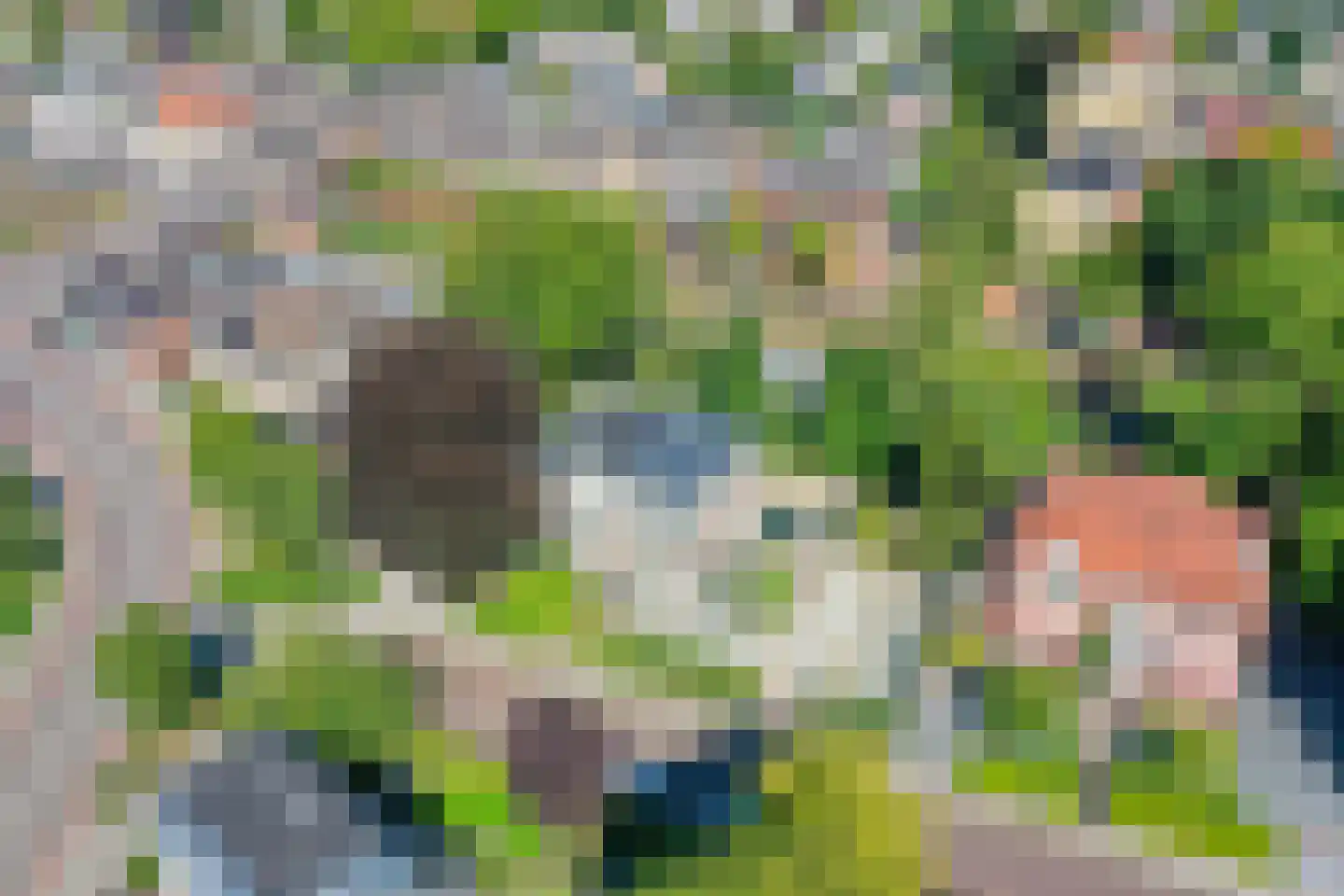 Lindelaan 18 Bussum thumbnail 49