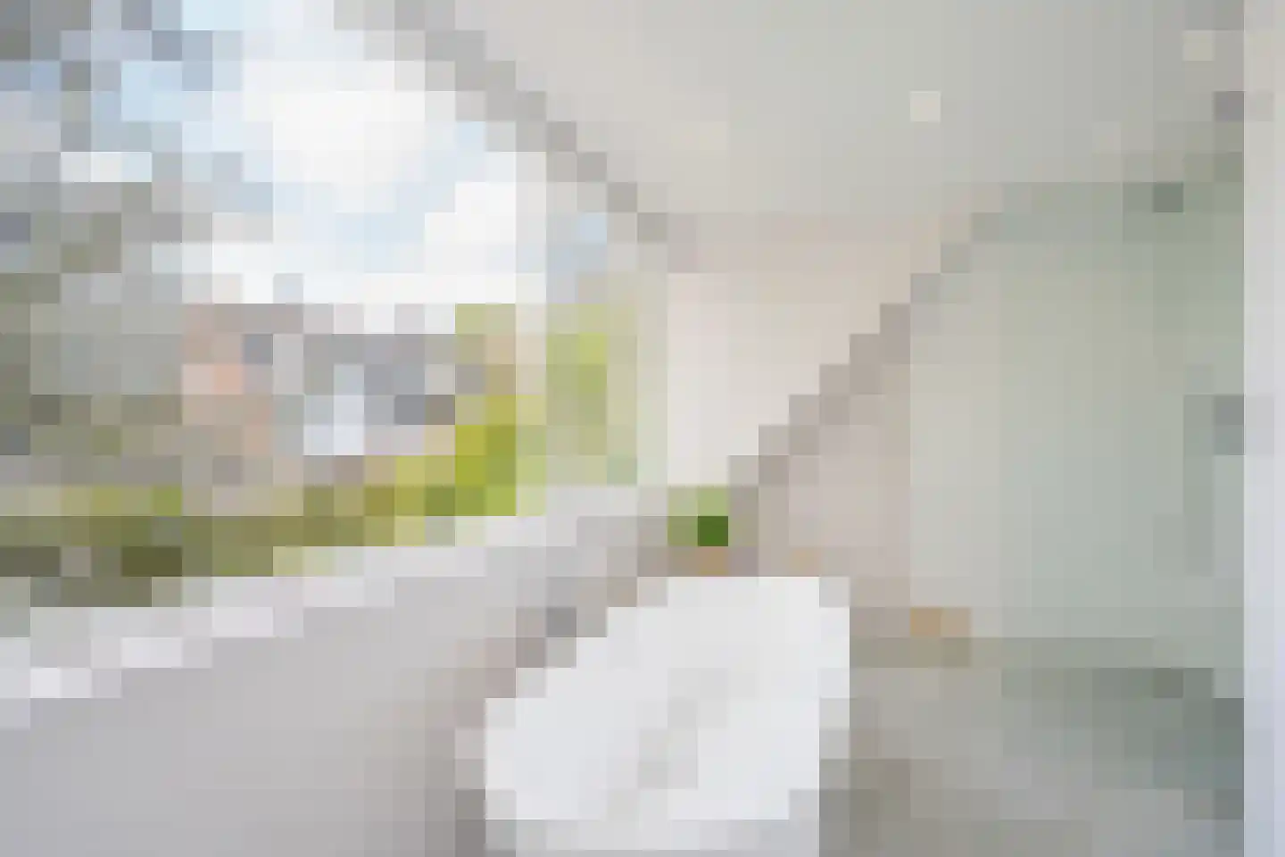 Lindelaan 18 Leidschendam thumbnail 29