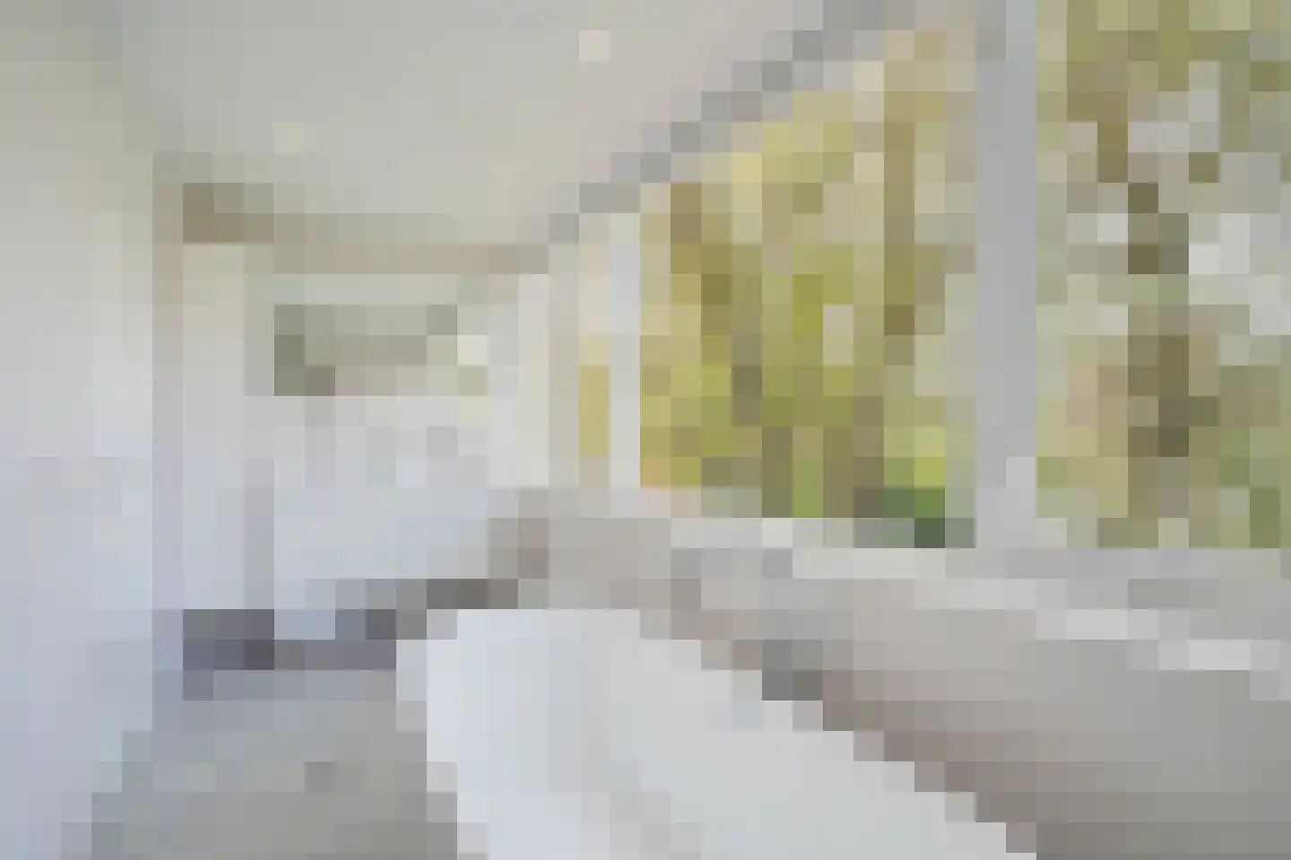 Lindelaan 18 Leidschendam thumbnail 31