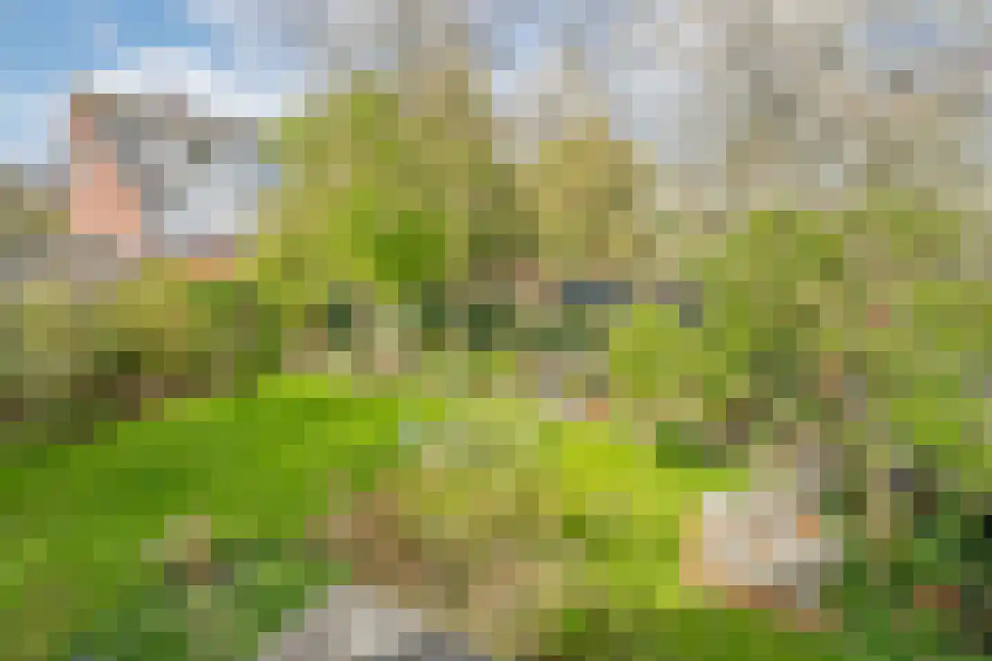 Lindelaan 18 Leidschendam thumbnail 35